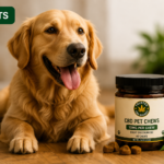CBD for Dogs: Benefits, Dosage & What Pet Parents Should Know